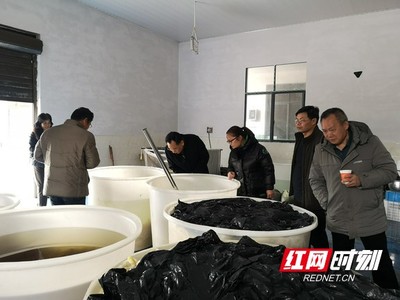 國家特色蔬菜產(chǎn)業(yè)技術(shù)體系專家赴鳳凰縣調(diào)研指導(dǎo)辣椒加工產(chǎn)業(yè)發(fā)展