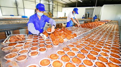 云南彌勒 特色手工紅糖生產(chǎn)忙，傳承美味與匠心